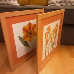 Prints/Two Bright Floral Pictures .. Frames Size" 18" x 18" .. NOW ONLY 22euro for Both or 16.00Each
