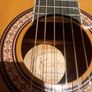 guitar - new hobby? Image 7