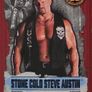 WWE Slam Attax Trading Cards - Choose from 25-Choose Your Wrestler - Topps Image 7