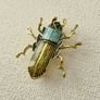 Beetle Brooch Pin Image 4