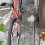 bike Image 3