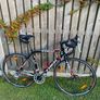 Trek Alpha 1.1 Image 2