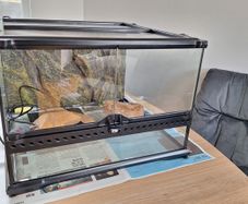 Reptile vivarium