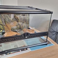 Reptile vivarium