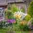 gardensRose