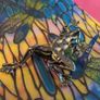 Frog Brooch/ Pendant Image 3