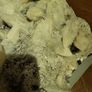Candle quartz  crystal cluster huge Image 4