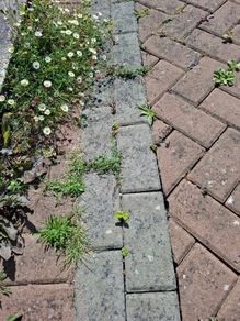 Cobblelock