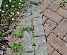 Cobblelock