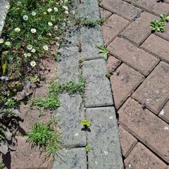 Cobblelock