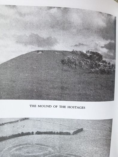 Tara: The Monuments on the Hill