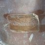 Copper Knapsack Sprayers Image 2