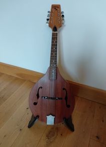 mandolin