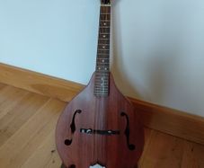 mandolin