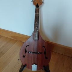 mandolin