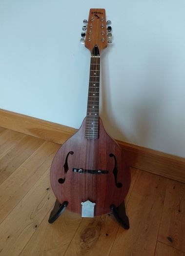 mandolin
