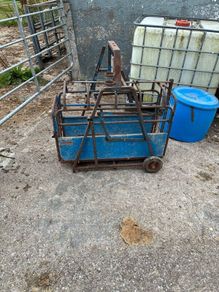 Sheep feeding equipment