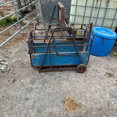 Sheep feeding equipment