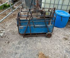 Sheep feeding equipment