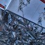 Games Workshop Age of Sigmar Skaven  Clawlord on Gnaw-Beast NEW NOS Image 5