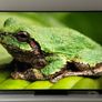 Lg 65 Inch 4k Qned -2024- 120hz - Ai Pro - Image 3