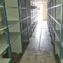 40ft and 20ft Containers plus Shelving Image 5