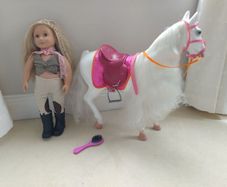 Our Generation Equestrian