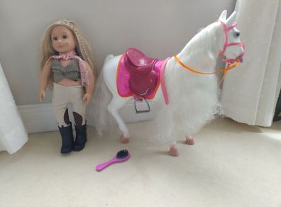 Our Generation Equestrian