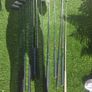 golf Image 6
