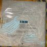 In Tua Nua vinyl 12" Single Irish pressing Image 2