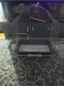 Bird Cage-large
