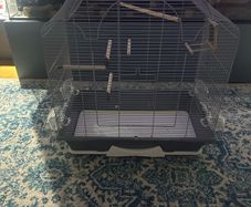 Bird Cage-large