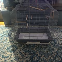 Bird Cage-large