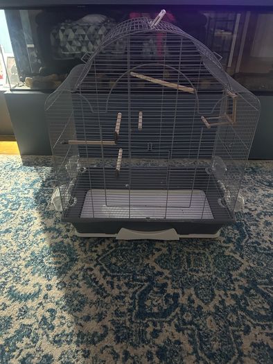 Bird Cage-large