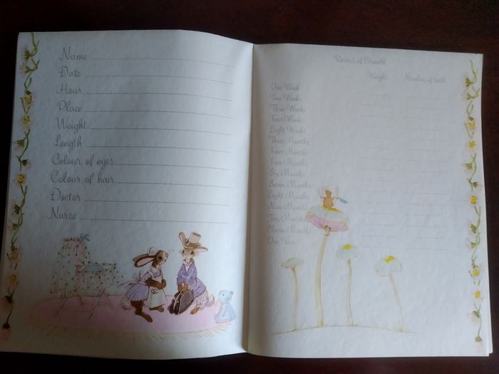 Collectible Vintage Hallmark Baby Record Book