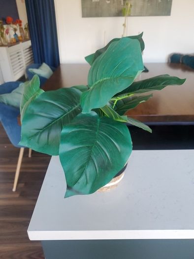 Faux Plant