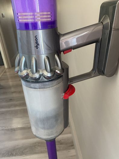 Dyson v11 animal