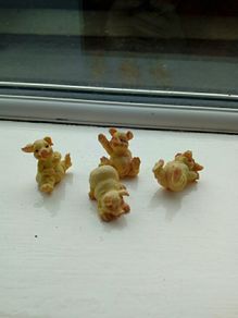 Mini pig figurines
