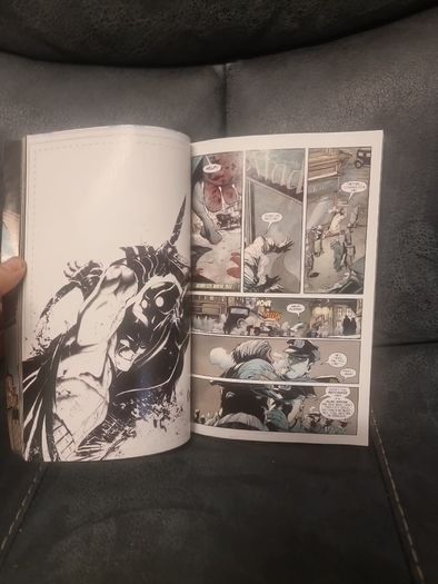 Batman Vol. 1: The Court of Owls (The New 52) (Soft cover)