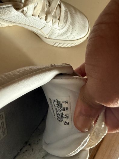 Puma and Clark's shoes