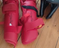 sparring gear