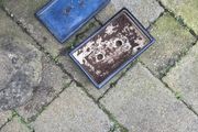 bonsai pot