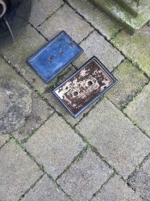 bonsai pot