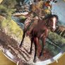 6 Franklin Mint limited edition collector plates Image 6