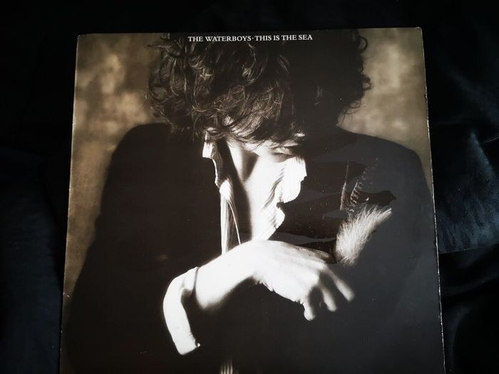 The Waterboys - This Is The Sea