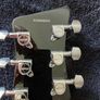 orange guitar emg 81,89. Image 5
