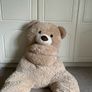 teddy Image 2