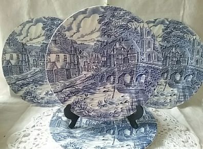 Blue/ White Display/ Dinner Plates
