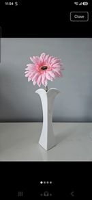 Newbridge vase