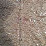 Champagne colour sequined top Image 4